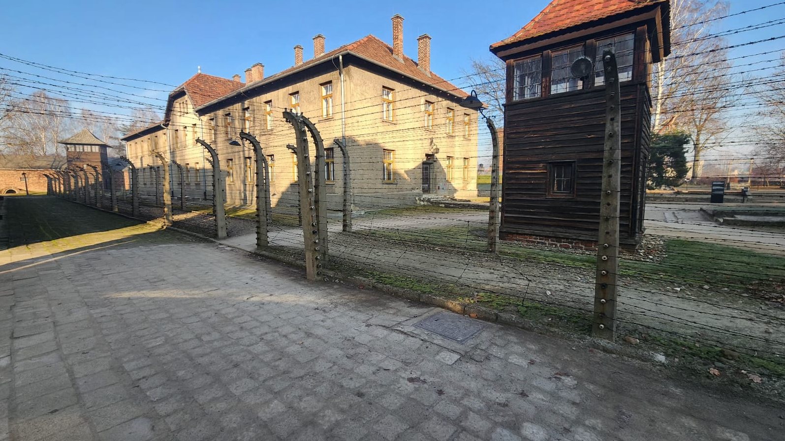 Auschwitz: un viaje al corazón del horror y la humanidad