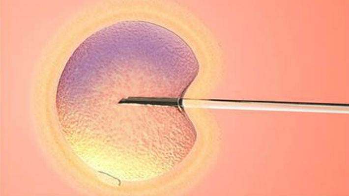 Juegan a ser Dios, el hombre desafía a su Creador manipulando el origen humano
